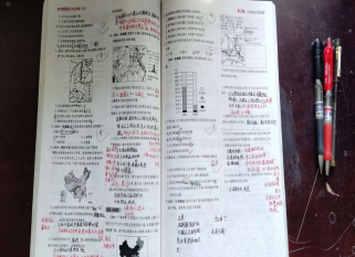 wps116.png wps116.png