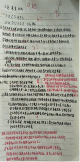 wps195.png wps195.png