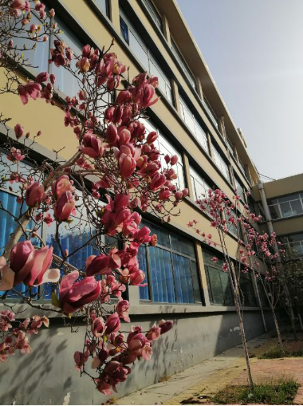 N`)$Z4W}H6)S)~TB}N6PVLU.png N`)$Z4W}H6)S)~TB}N6PVLU.png